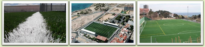 Soccer field turf