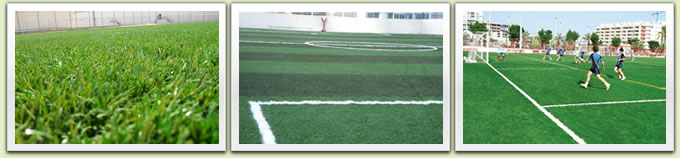 Soccer field turf